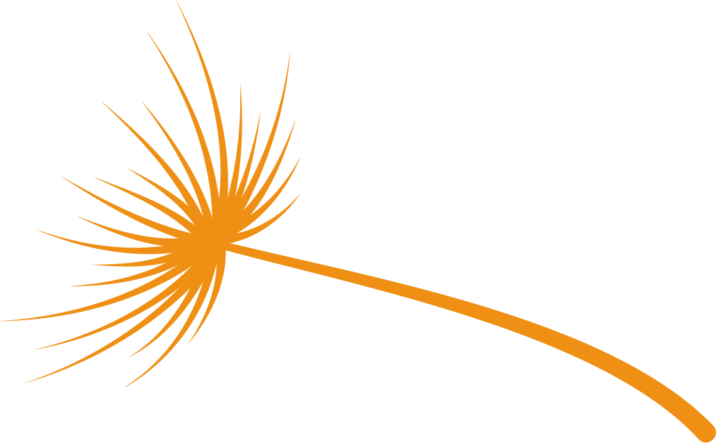akene orange