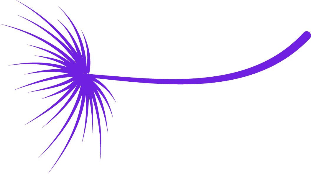 akene violet